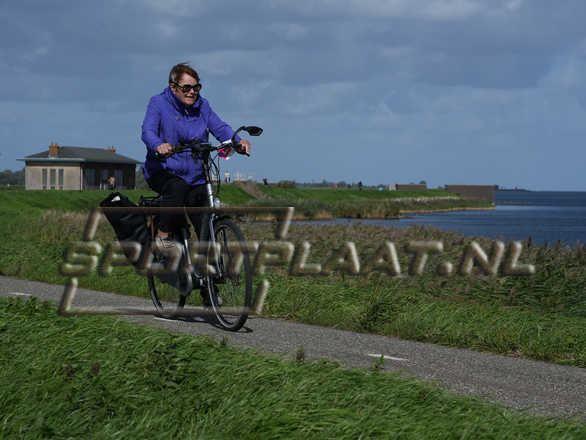 D7049.jpg